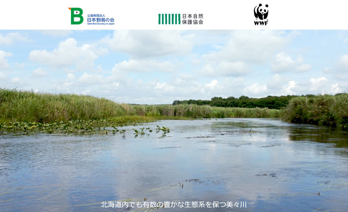 北海道でも有数の豊かな生態系を保つ美々川と（公財）日本野鳥の会、（公財）日本自然保護協会、（公財）世界自然保護基金ジャパンのロゴマーク