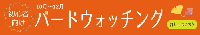 初心者向けバードウォッチングのご案内
