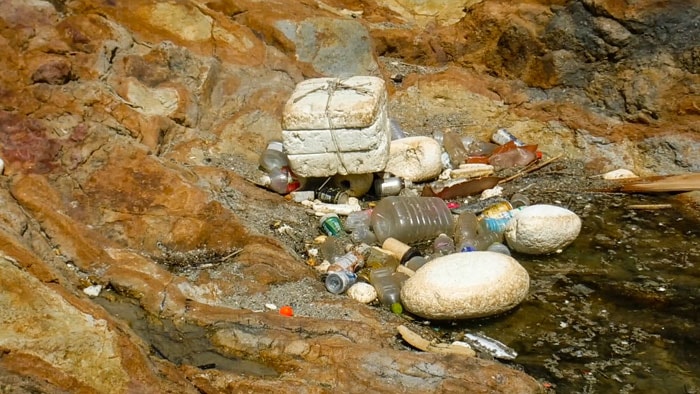カンムリウミスズメ人工巣がある神子元島に漂着したプラスチックごみ