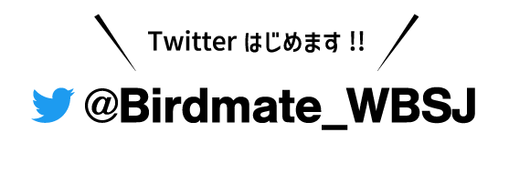 Twitterはじめます！