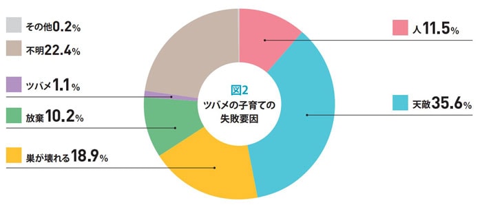 図2ツバメの子育ての失敗要因／人11.5％、天敵35.6％、巣が壊れる18.9％、放棄10.2％、ツバメ1.1％、不明22.4％、その他0.2％