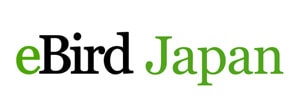 「ebird Japan」ロゴ 