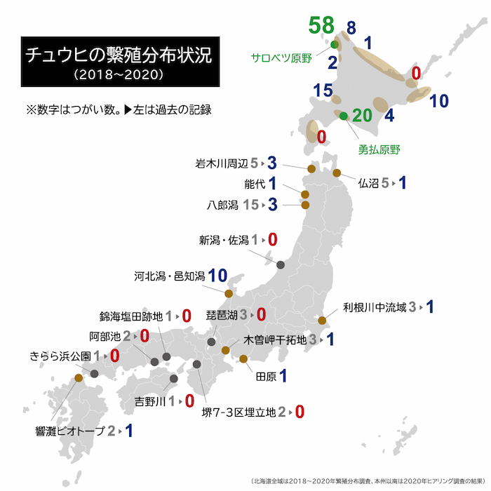 チュウヒの繁殖分布マップ