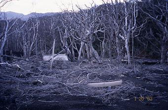 2003年1月　火山泥流にのまれた社殿と鳥居のあと