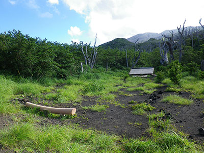 2011年7月　埋没した神社の周辺に緑が戻りはじめる