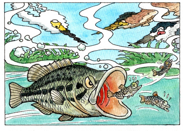 本特集のイラスト:富士鷹なすび
