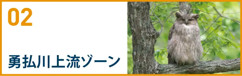 勇払川上流ゾーン