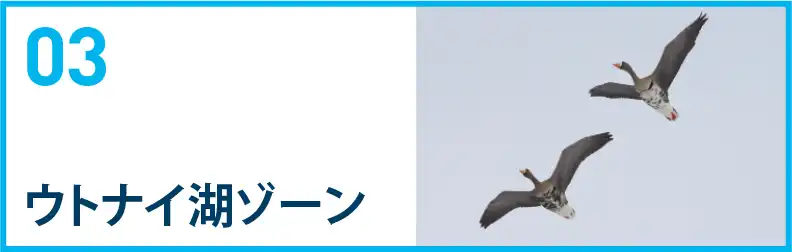 ウトナイ湖ゾーン