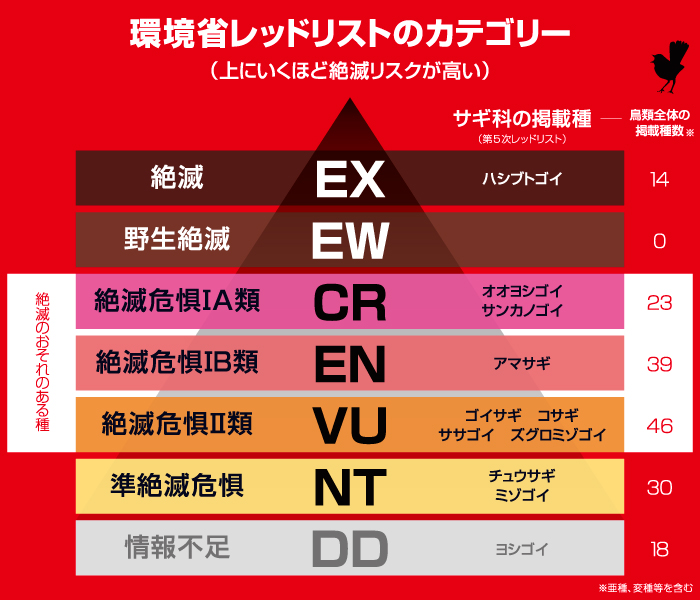 環境省レッドリスト カテゴリー