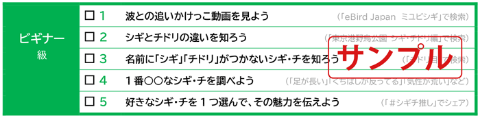 「シギ・チ」チャレンジリストのイメージ