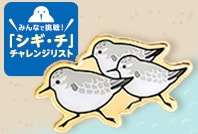 バードメイト2023「ミユビシギ」ピンバッチ