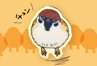 バードメイトピンバッジスズメ