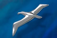 アホウドリのシルバーブローチの写真