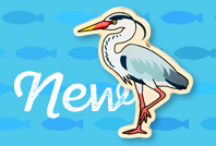 「アオサギ」のピンバッジ