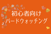 「初心者向けバードウォッチング」のご案内