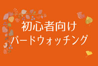 初心者向けバードウォッチングのご案内