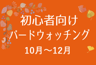 初心者向けバードウォッチングのご案内
