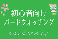 初心者向けバードウォッチングのご案内