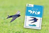パンフレット『ようこそツバメ』無料プレゼント！