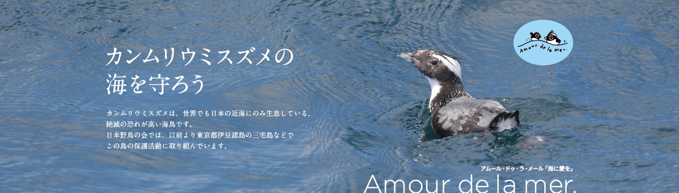 カンムリウミスズメの海を守ろう