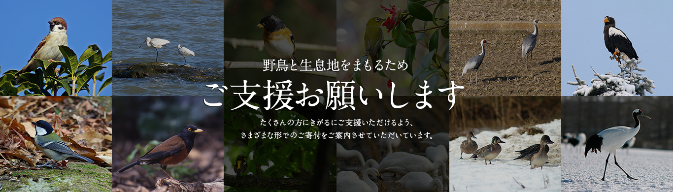 野鳥と生息地をまもるためご支援お願いします