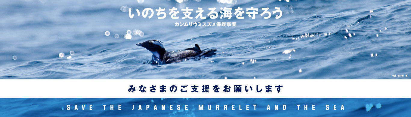 キャンペーン：いのちを支える海を守ろう「カンムリウミスズメ保護事業」