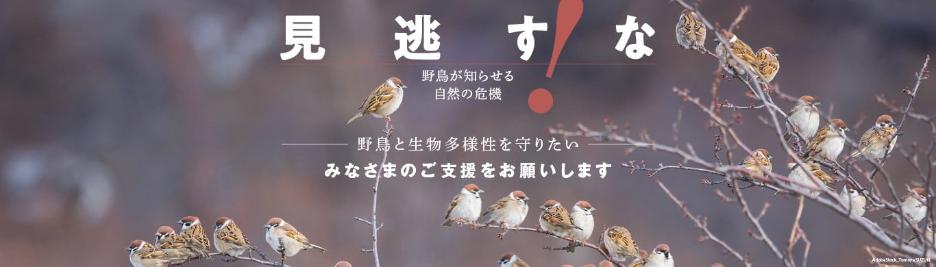 キャンペーン：野鳥と生物多様性を守りたい