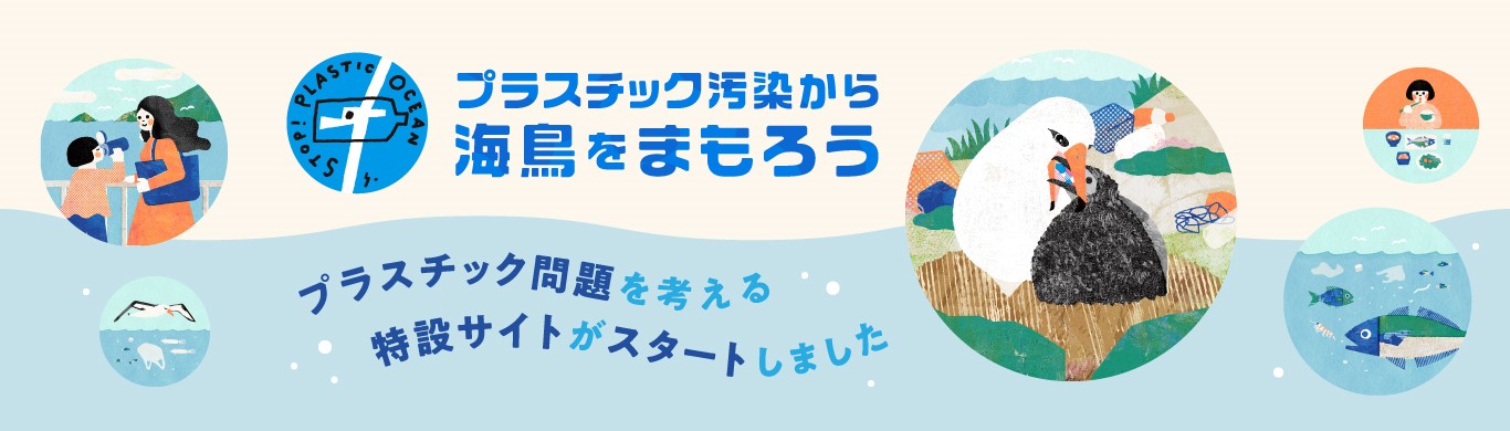 「プラスチック汚染から海鳥をまもろう」プロジェクトの特設サイトがオープン！