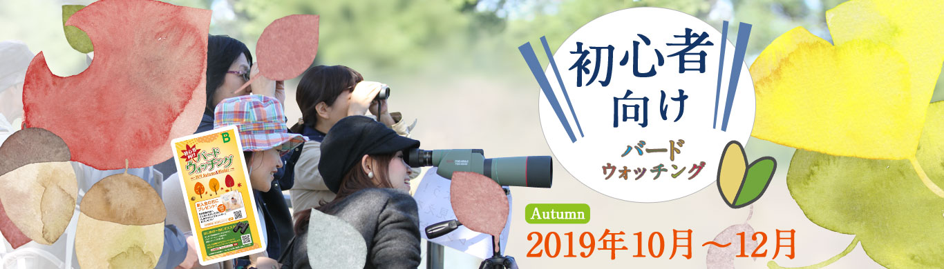 初心者向けバードウォッチング（10月～12月）のご案内