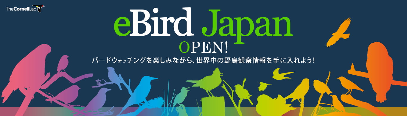 eBird Japan オープン！