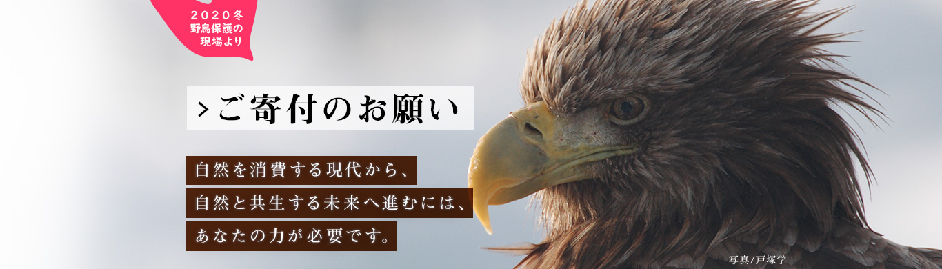 野鳥や自然との共生をめざす活動をご支援ください