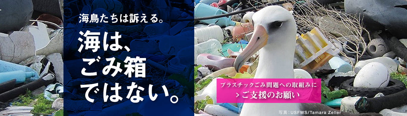 キャンペーン「海は、ゴミ箱ではない。」