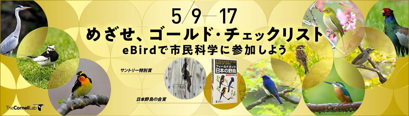愛鳥週間！めざせ、ゴールド・チェックリスト～eBirdで市民科学に参加しよう～